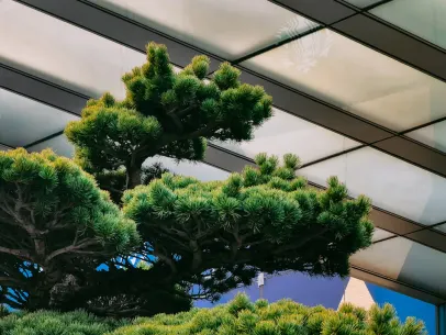 ארקיין בט קזינו אפליקציה לנייד